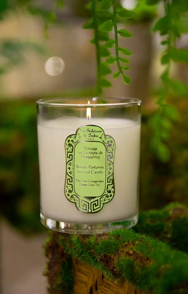 Candle Green Tea & Ginger (Darjeeling)