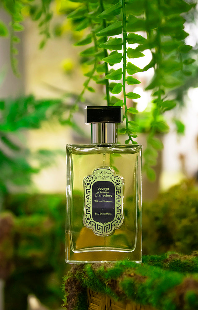Perfume Green Tea & Ginger (Darjeeling)