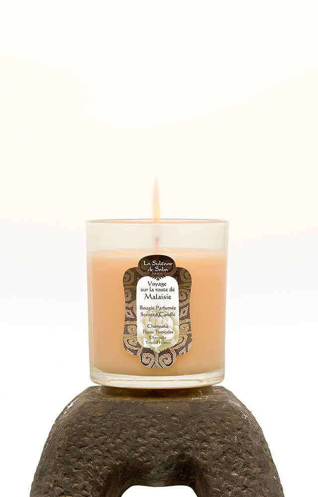 Candle Jasmine and Tropical Flowers (Malaysia)