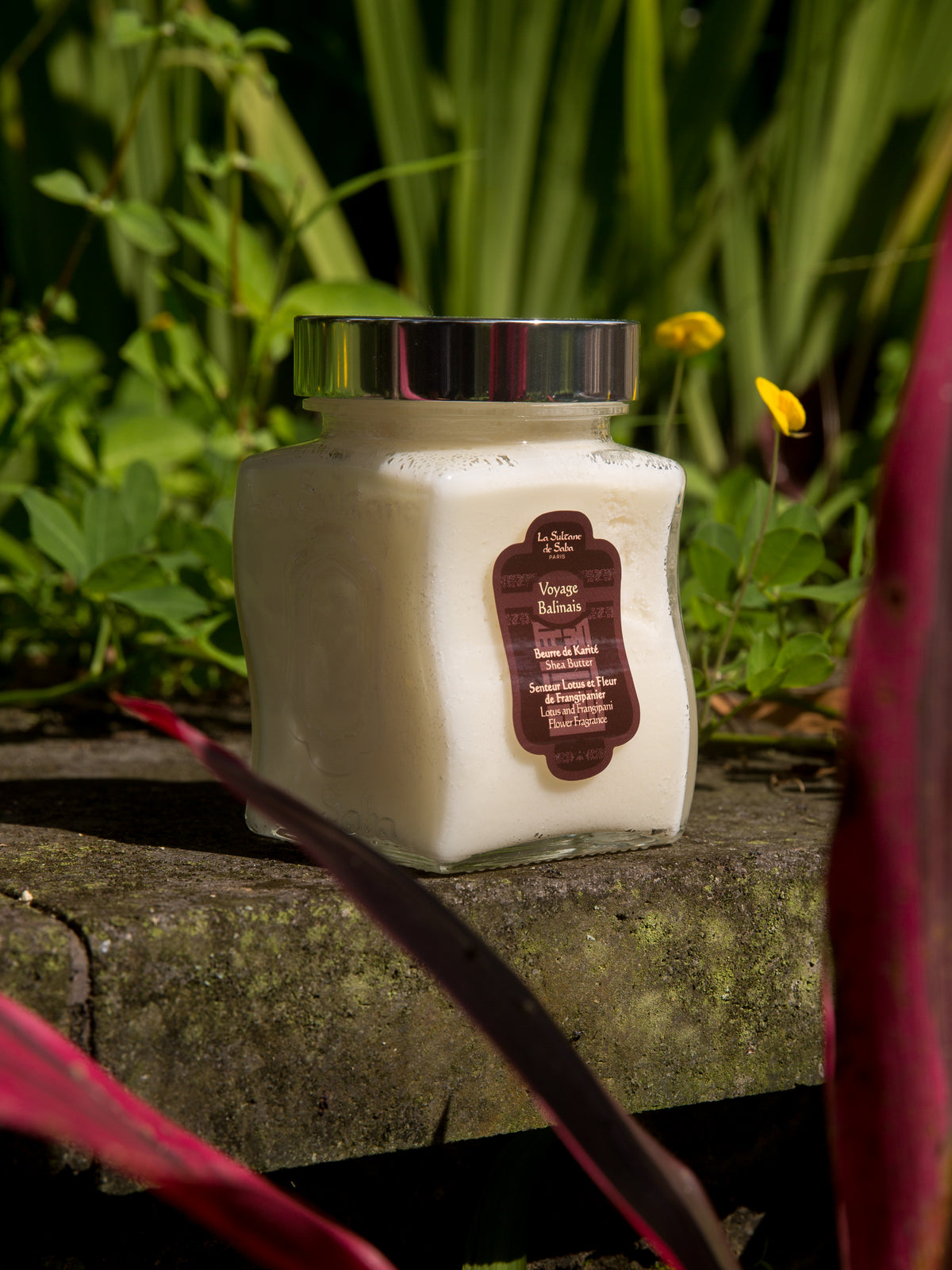 Shea Butter Lotus and Frangipani Flower (Bali)